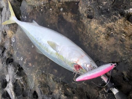 ショアプラッキング