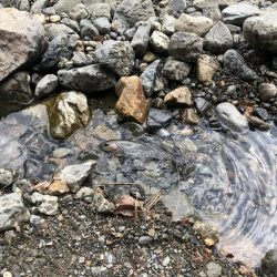 激寒の管理釣り場