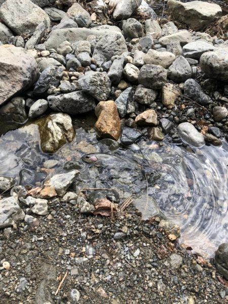 激寒の管理釣り場