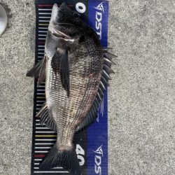 イチノ兄弟、釣果!