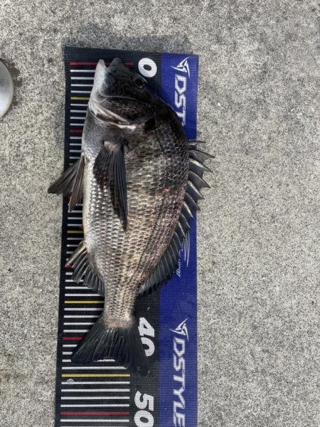 イチノ兄弟、釣果!