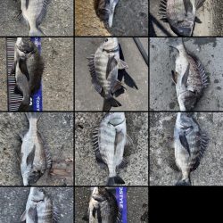 イチノ兄弟、長靴！