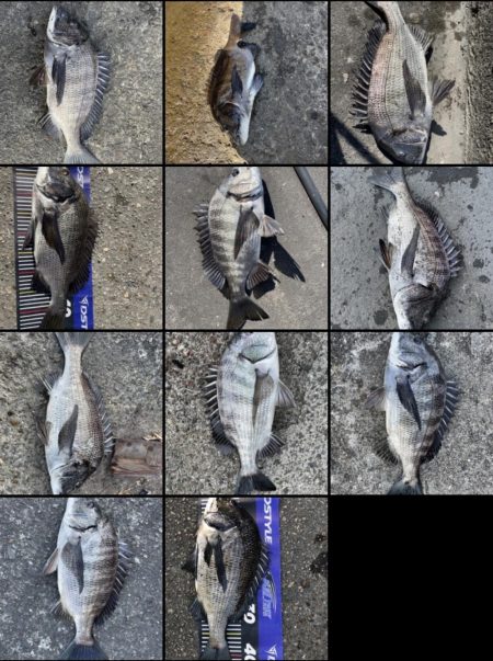 イチノ兄弟、長靴！