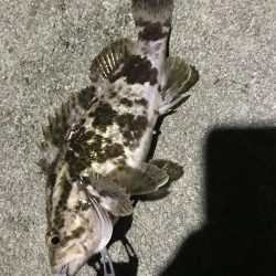 またあなたか〜