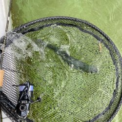 雪の舞う中エリアトラウト