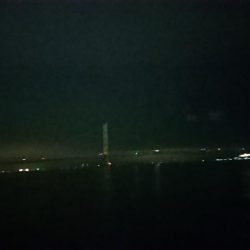 一応鱗づけ完了。