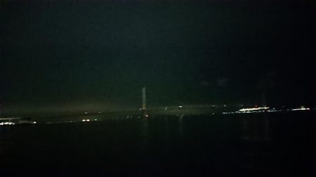 一応鱗づけ完了。