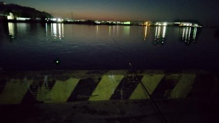 久しぶりのサビキ