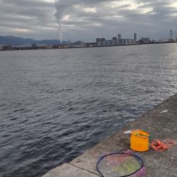 尺アジつれたよ!