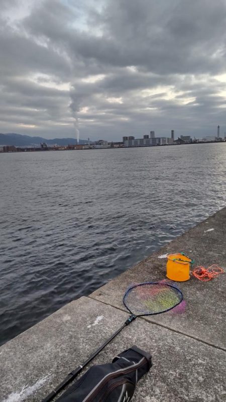 尺アジつれたよ!