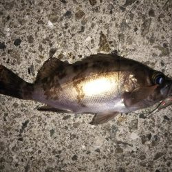 クリア レッドFlk.カラー大当たり