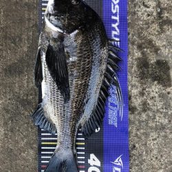 イチノ兄弟、釣果!