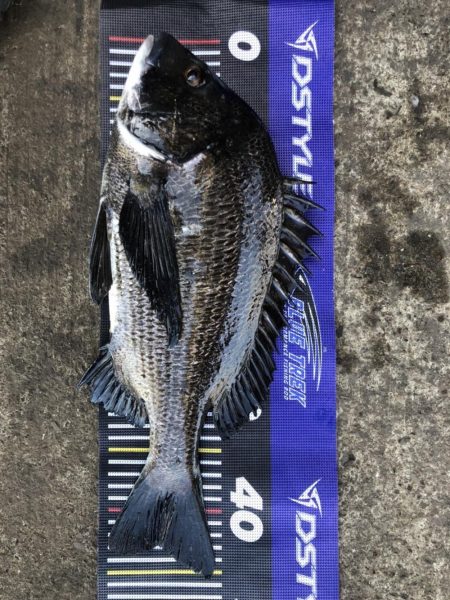 イチノ兄弟、釣果!