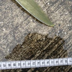 １０投だけいいよ、と言われて