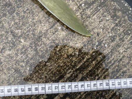 １０投だけいいよ、と言われて