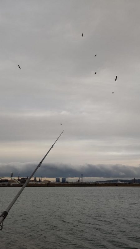 コノシロパターン