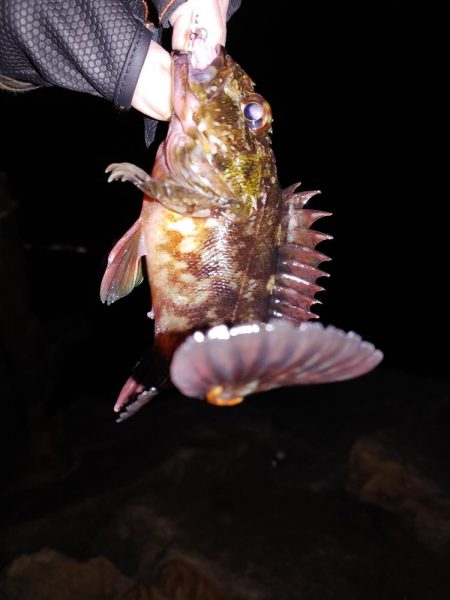 激渋メバリング