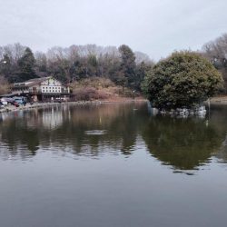 2022年初釣りは息子と楽しい管釣り！