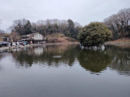 2022年初釣りは息子と楽しい管釣り！