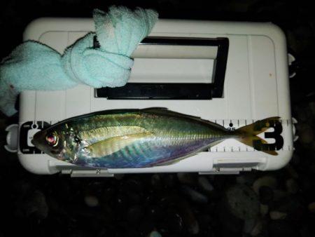 (尺アジ)フロートゲーム