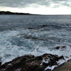 フカセ‥釣れないですネ・・