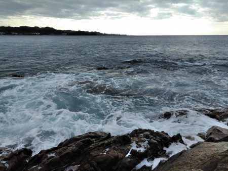 フカセ‥釣れないですネ・・