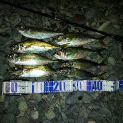 フロートゲーム～