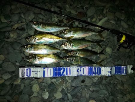 フロートゲーム～