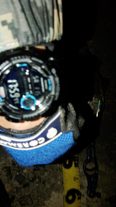 ぶらシーバス!!