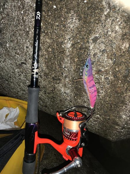 2022年 初アオリイカ!!GET!!