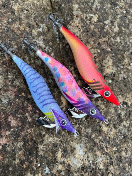 スクイッドジャンキーでアオリイカ！