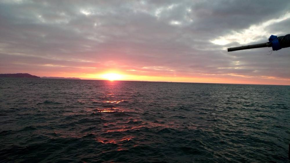 タイサビキ初挑戦