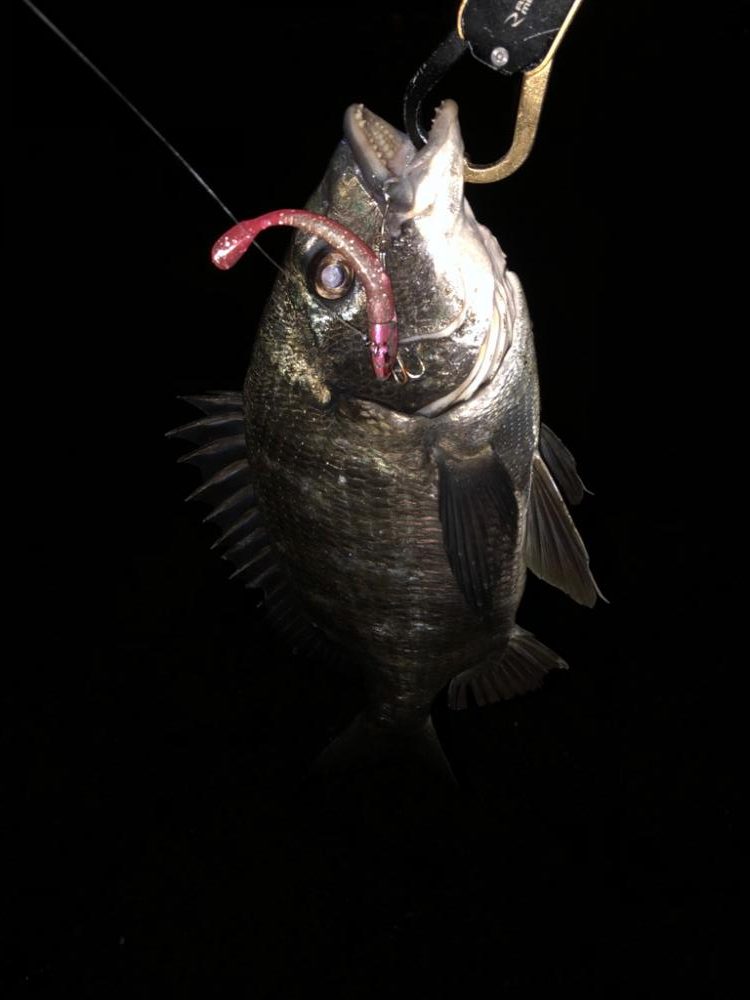 あたりはあるが