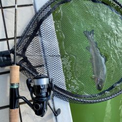 かめプー　亀岡市釣行