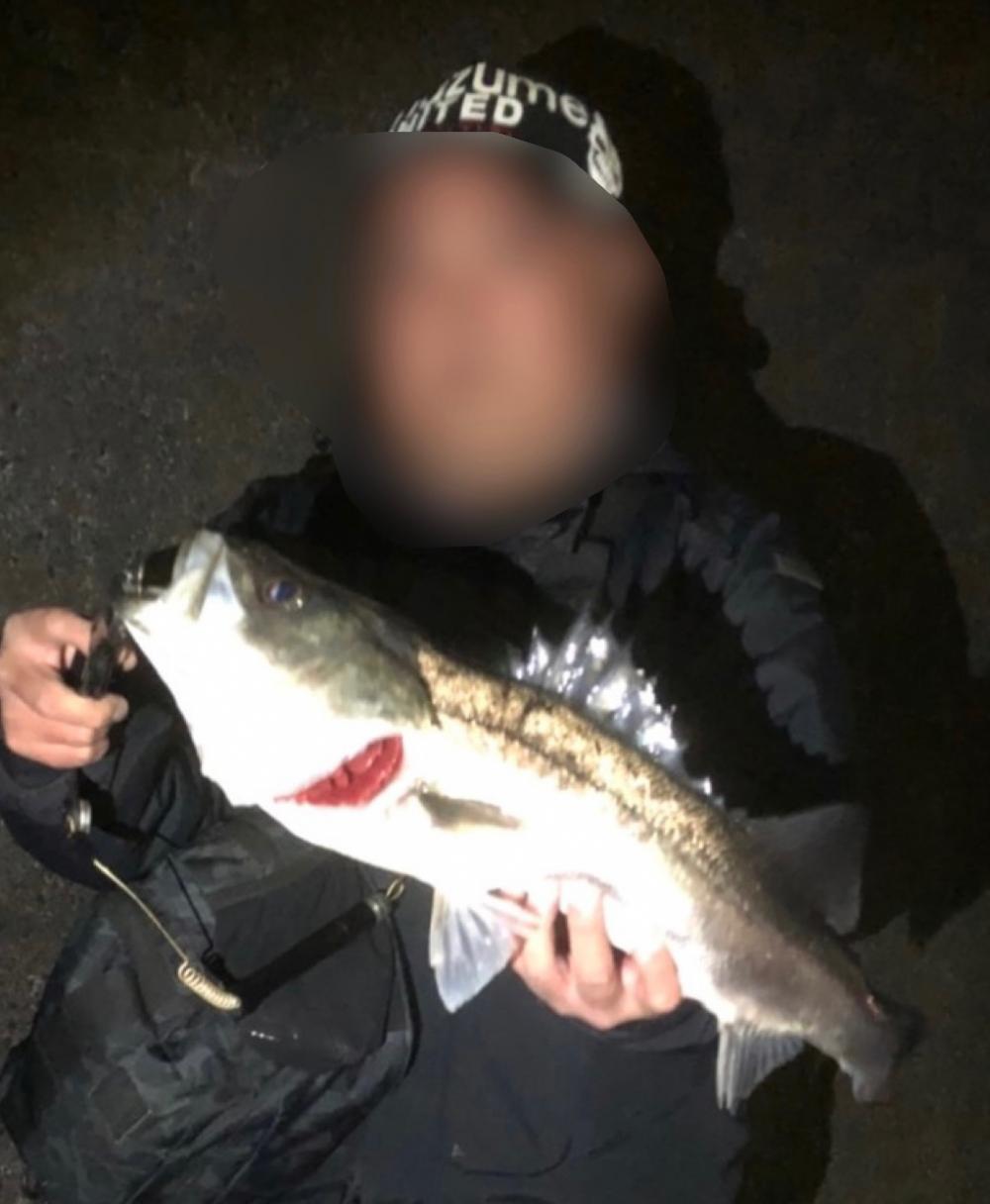 アフターに加え奇形かな…切なくなった。