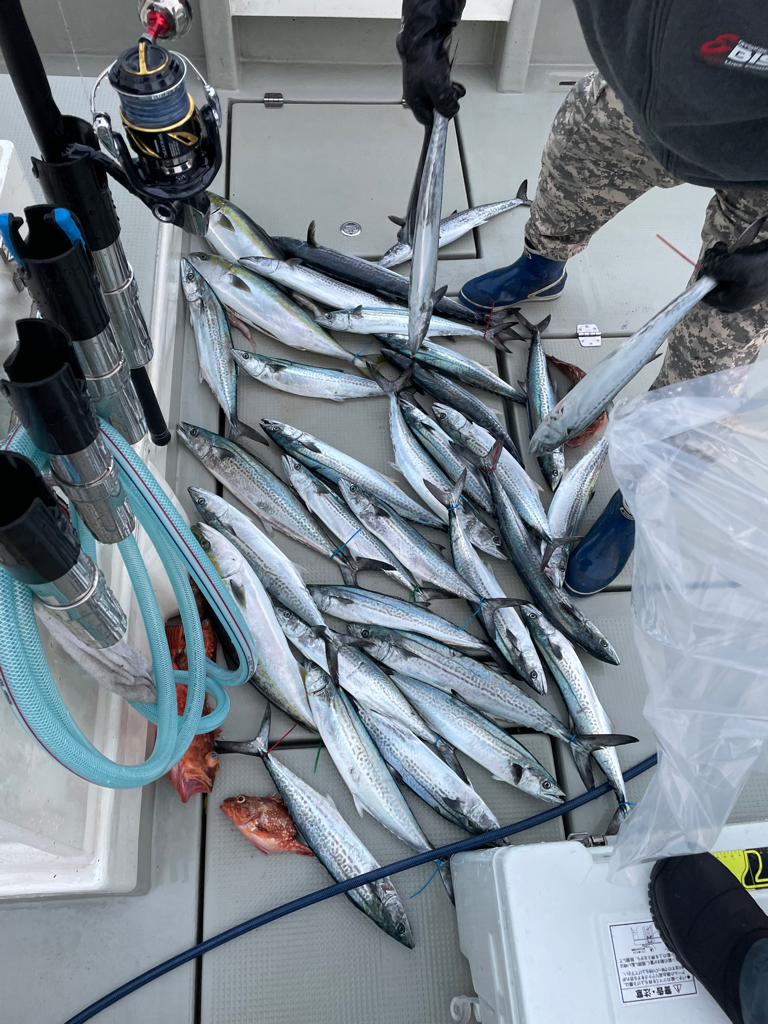 丹後沖ジギング