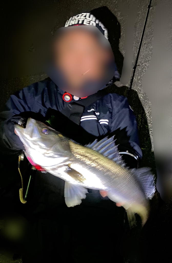 久々のシーバスちゃん