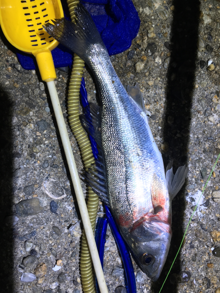 週末体寒トレーニング