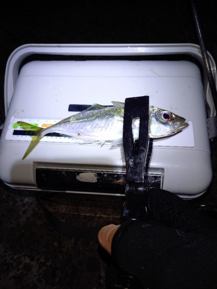 病院が早く終わったので…