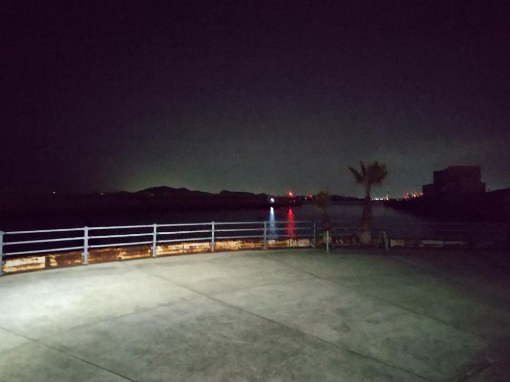 アジ、メバリング