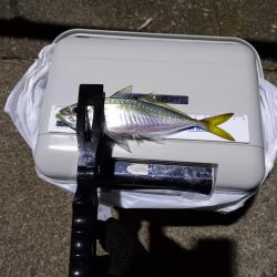 一年に一回は長島へ