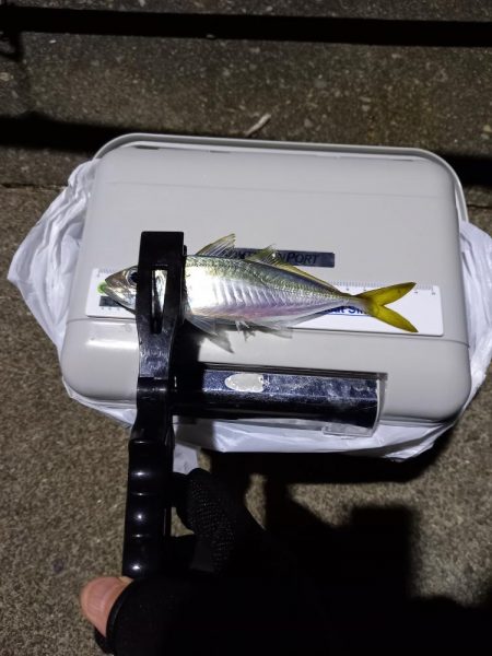 一年に一回は長島へ