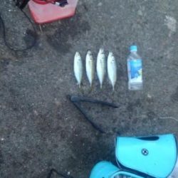 新年釣り始め！！