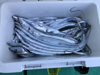 泉州丸さんでタチウオ