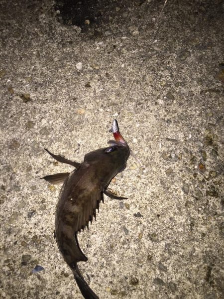 バイク釣行は修行です