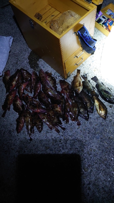 2022年淡路島にて初釣り