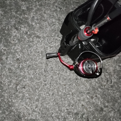 最近は渋いなぁ