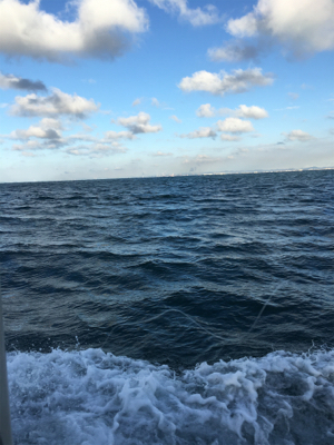 元旦初釣り!活性高し!!