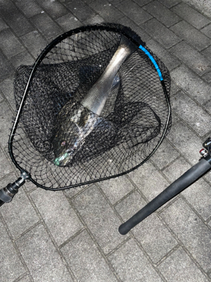 アフターシーバス