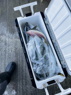 丹後沖ジギング